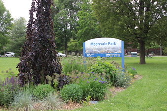 Moorevale Park