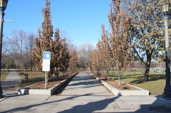 Trinity Bellwoods Park