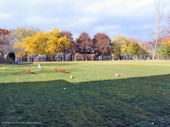 Enlarge photo 11