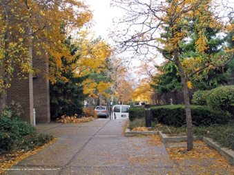 Enlarge photo 25