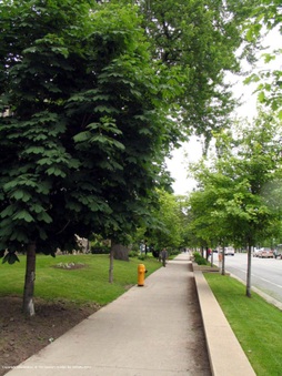 Enlarge photo 37
