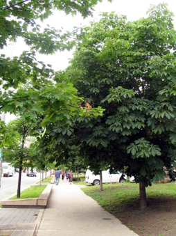 Enlarge photo 38