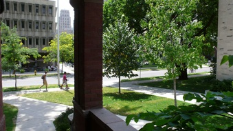 Enlarge photo 42