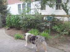 Enlarge photo 3