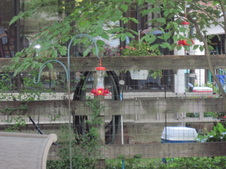 Enlarge photo 10