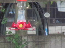 Enlarge photo 12
