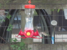 Enlarge photo 13