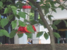 Enlarge photo 14