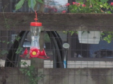 Enlarge photo 18