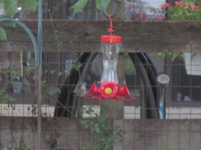 Enlarge photo 19