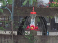 Enlarge photo 20