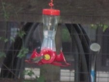 Enlarge photo 21