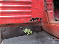 Enlarge photo 8