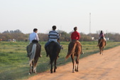 Enlarge photo 22