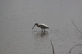 Enlarge photo 31