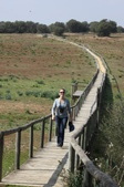 Enlarge photo 37