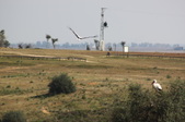 Enlarge photo 40