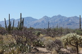 Enlarge photo 3