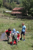 Enlarge photo 11