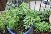 Enlarge photo 15