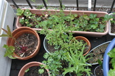 Enlarge photo 16