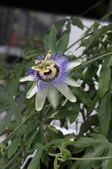Enlarge photo 22