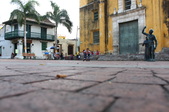 Enlarge photo 20