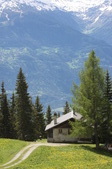 Enlarge photo 11