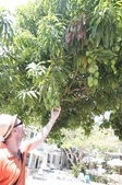 Enlarge photo 21