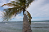 Dominican Republic