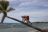 Enlarge photo 24