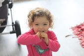 Enlarge photo 20