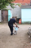 Enlarge photo 11