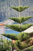 Enlarge photo 14