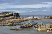 Enlarge photo 16