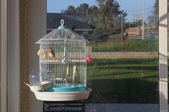 Enlarge photo 23