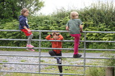 Enlarge photo 6