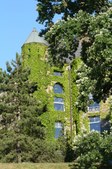 Cornell