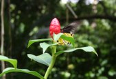 Enlarge photo 18
