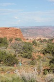 Enlarge photo 17