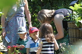 Enlarge photo 14
