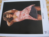 Enlarge photo 40