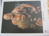 Enlarge photo 43