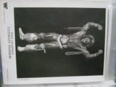 Enlarge photo 62