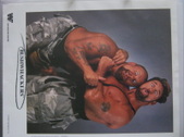 Enlarge photo 84