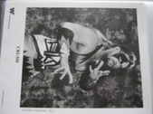 Enlarge photo 87
