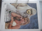 Enlarge photo 117