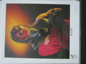 Enlarge photo 125