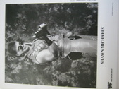 Enlarge photo 160