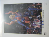 Enlarge photo 172